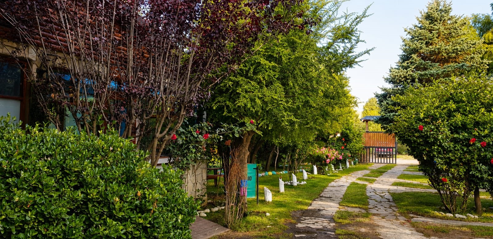 Entorno de Cabañas El Puestero